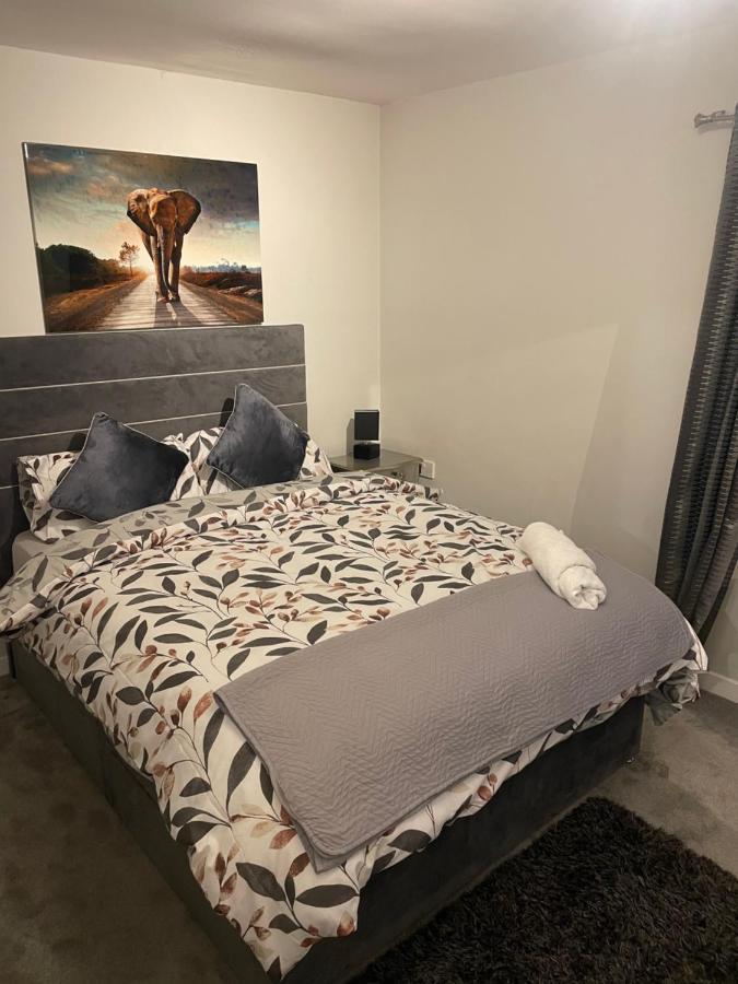 Fantastic Full 3 Bedroom Modern Apartment Belfast Exterior photo